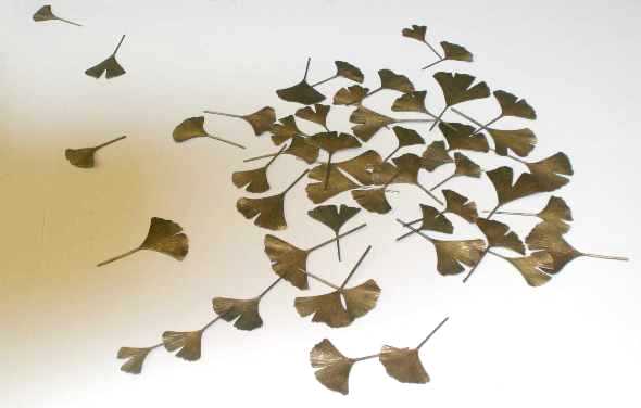 Ginko Leaves scattered on a plane