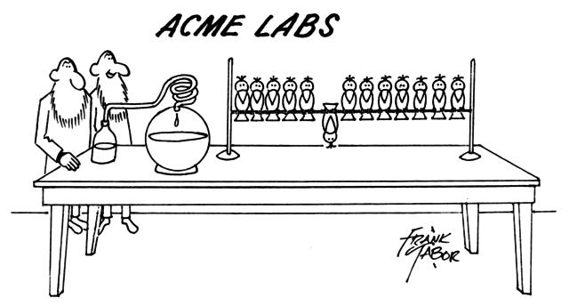 Two scientists at a long lab bench with glassware and a rack of birds, on upside down. . .