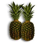 perfect pineapples