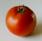 Tomatoe photo by Jock Dempsey