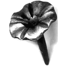 flower29.gif (5823 bytes)