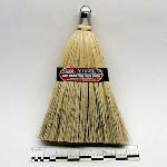 Mexican wisk broom