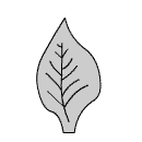 leaf12.gif (1856 bytes)