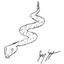 snake34.gif (2836 bytes)