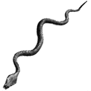 snake35.gif (2578 bytes)