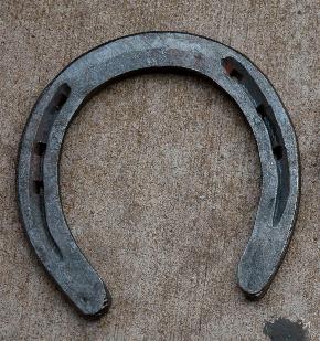 Fine Horseshoe by Benard Pelletier